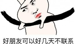 我真笨,揭秘自我认知与成长之路