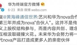 吃瓜是什么意思 黑料风云小说在线阅读全文,黑料风云小说全文深度解读