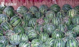 51热门大瓜今日大瓜,今日热点事件大盘点